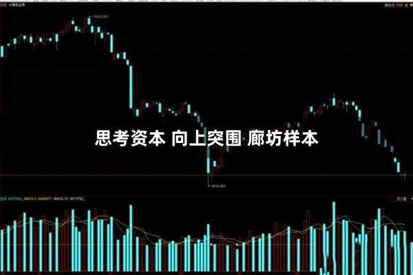 思考资本 向上突围 廊坊样本